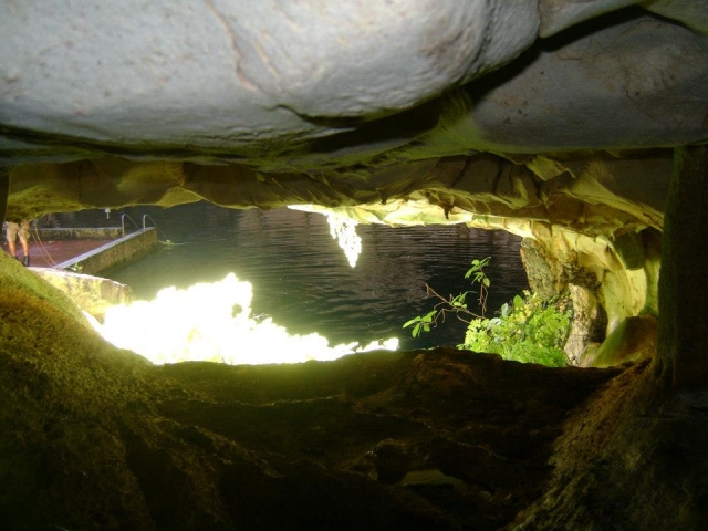 Vistas desde el cenote